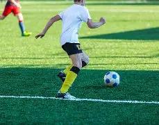 巴西里约州,林火频发,同比激增,皇冠娱乐体育,Crown,皇冠娱乐体育网址,皇冠娱乐app,皇冠娱乐官网,皇冠娱乐集团